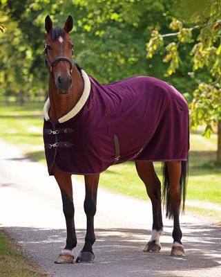 SHIRES - Deluxe Stable Sheet Burgundy