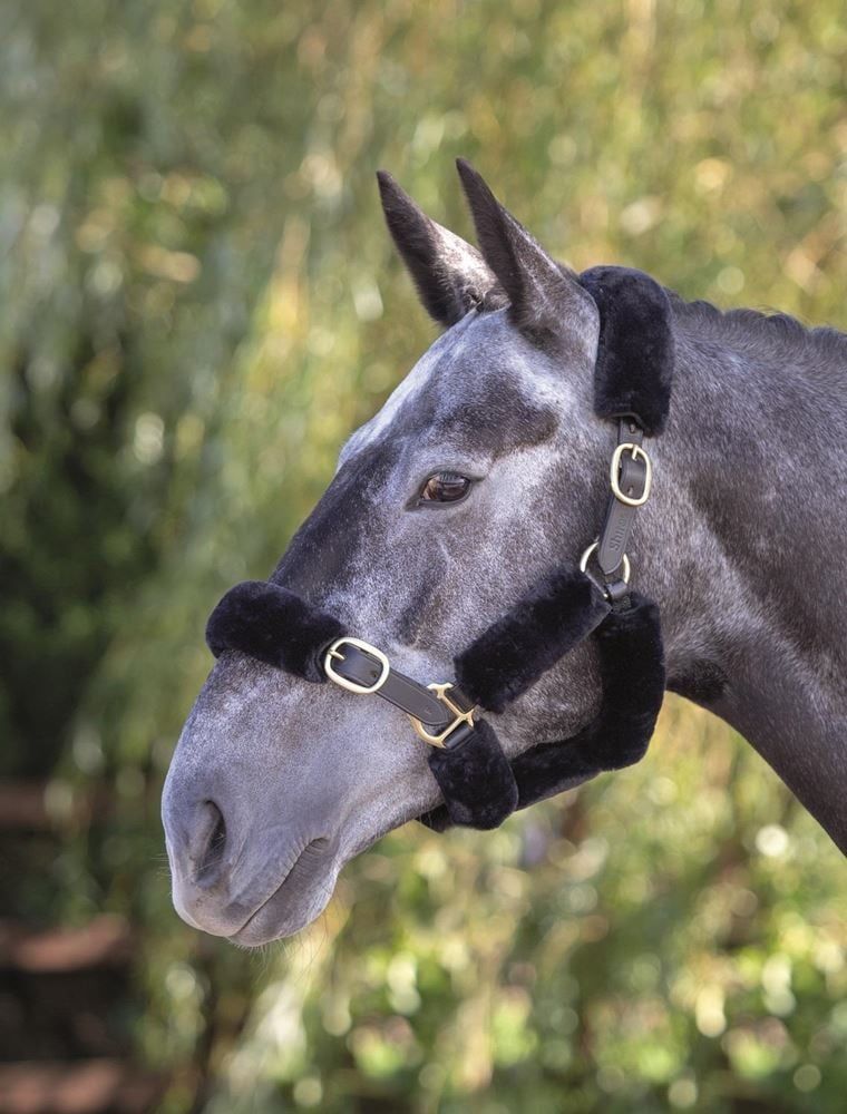 SHIRES - SupaFleece 6 Piece Halter Set Black