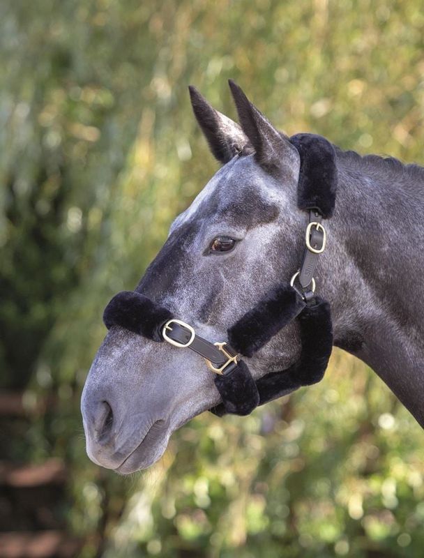 SHIRES - SupaFleece 6 Piece Halter Set Black