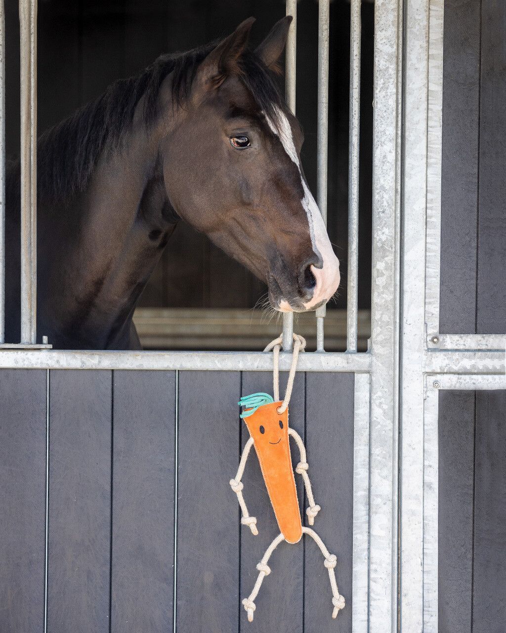 Horse Toy Carrot by QHP, Couleur: Orange