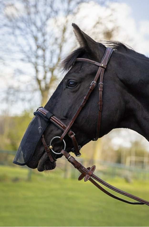 BR EQUESTRIAN - Nose Net Black
