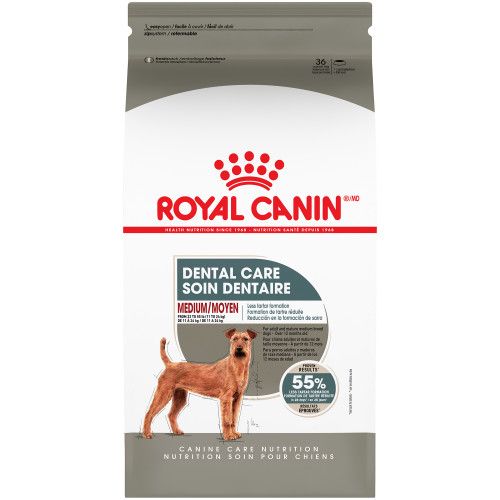 ROYAL CANIN - Canine Care Nutritionâ„¢ Medium Dental Care Dry Dog Food, Format: 12.7kg