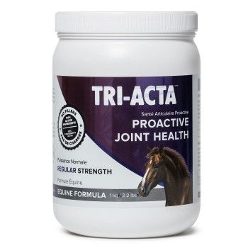 TRI-ACTA - Equine Supplement - Regular Strength, Format: 1kg