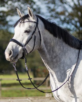 QHP - Bridle Sunna Bitless Black
