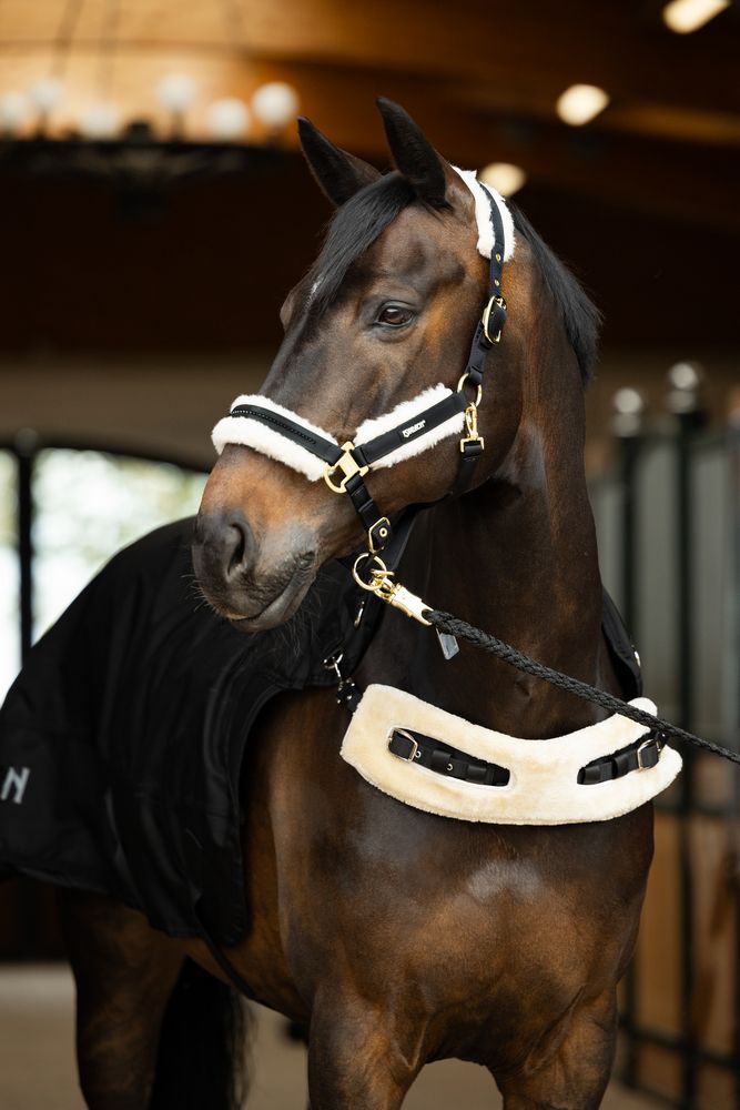 ESKADRON - Walker Rug Delta II Black, Size: Small/Medium