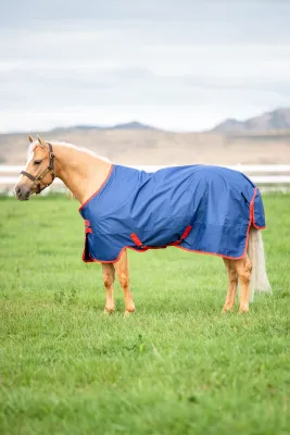 HORSEWARE - Mio Turnout Dark Blue 0g Lite