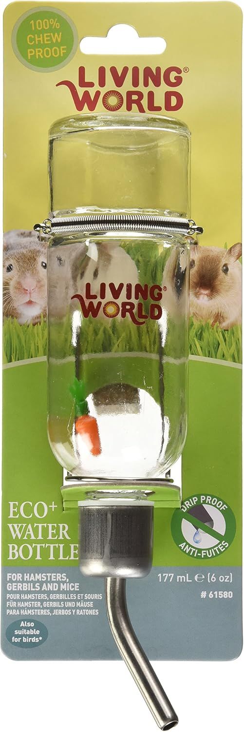LIVING WORLD - Eco Plus Glass Water Bottle, Size: 177ml