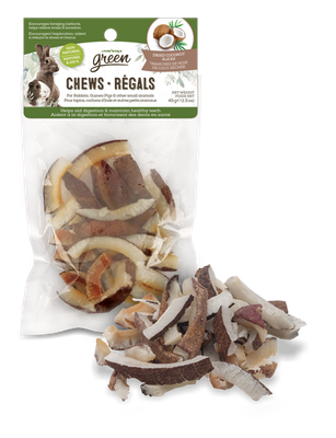 LIVING WORLD - Dried Coconut Slices