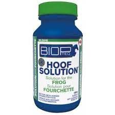 BIOPTEQ - Hoof Solution, Format: 180g