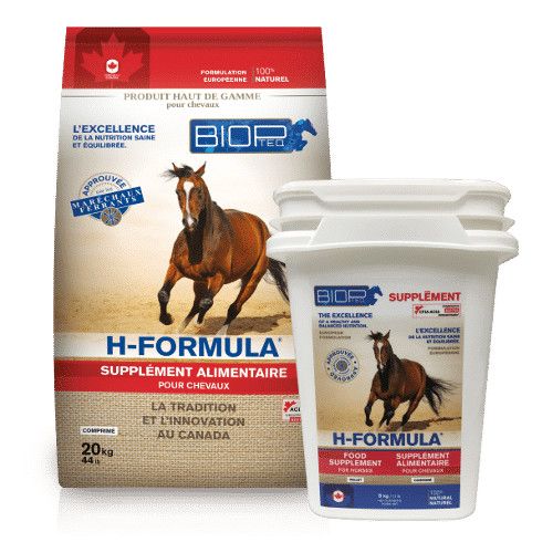 BIOPTEQ - H-Formula, Format: 5kg