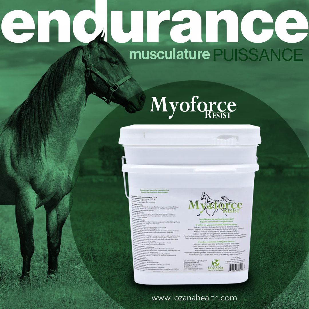 Lozana Santé- Résistance à  la myoforce, Format: 5kg