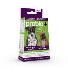 BACI+ - Pre &amp; Probiotics Intestinal health for dogs, Format: 14g