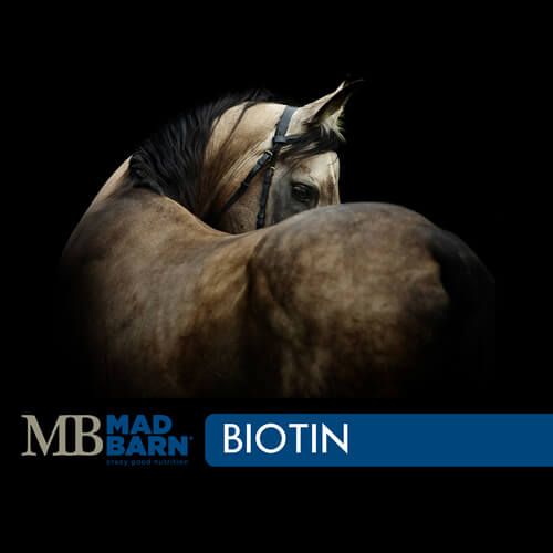 MADBARN - Biotin, Format: 1kg