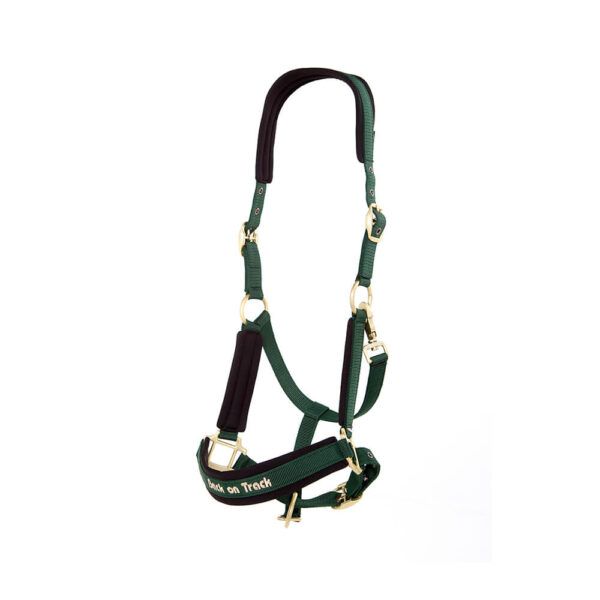 BACK ON TRACK - PP Werano Hunter Green Halter, Size: Full