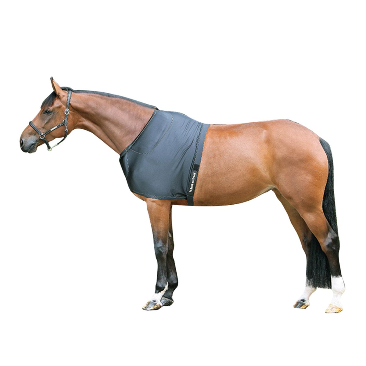 BACK ON TRACK - Equine shoulder guard, Color: Noir, Size: 125 cm (72 po)