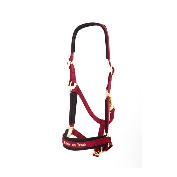BACK ON TRACK - PP Werano Wine Red Halter, Size: Full