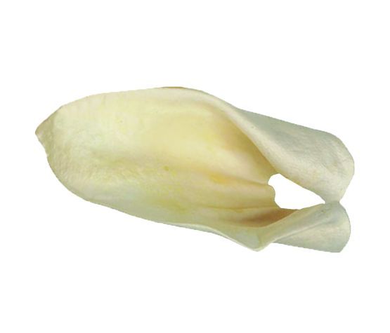 REDBARN - Cow ear, Format: Unité