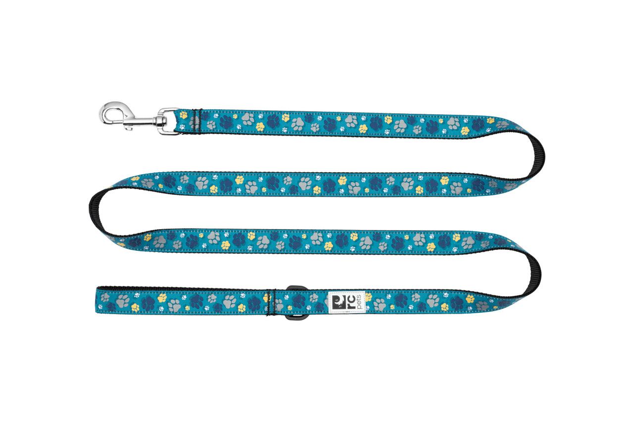 RC PETS - Fresh Tracks Teal Nylon Dog Leash, Size: 1&#39;&#39; x 6&#39;