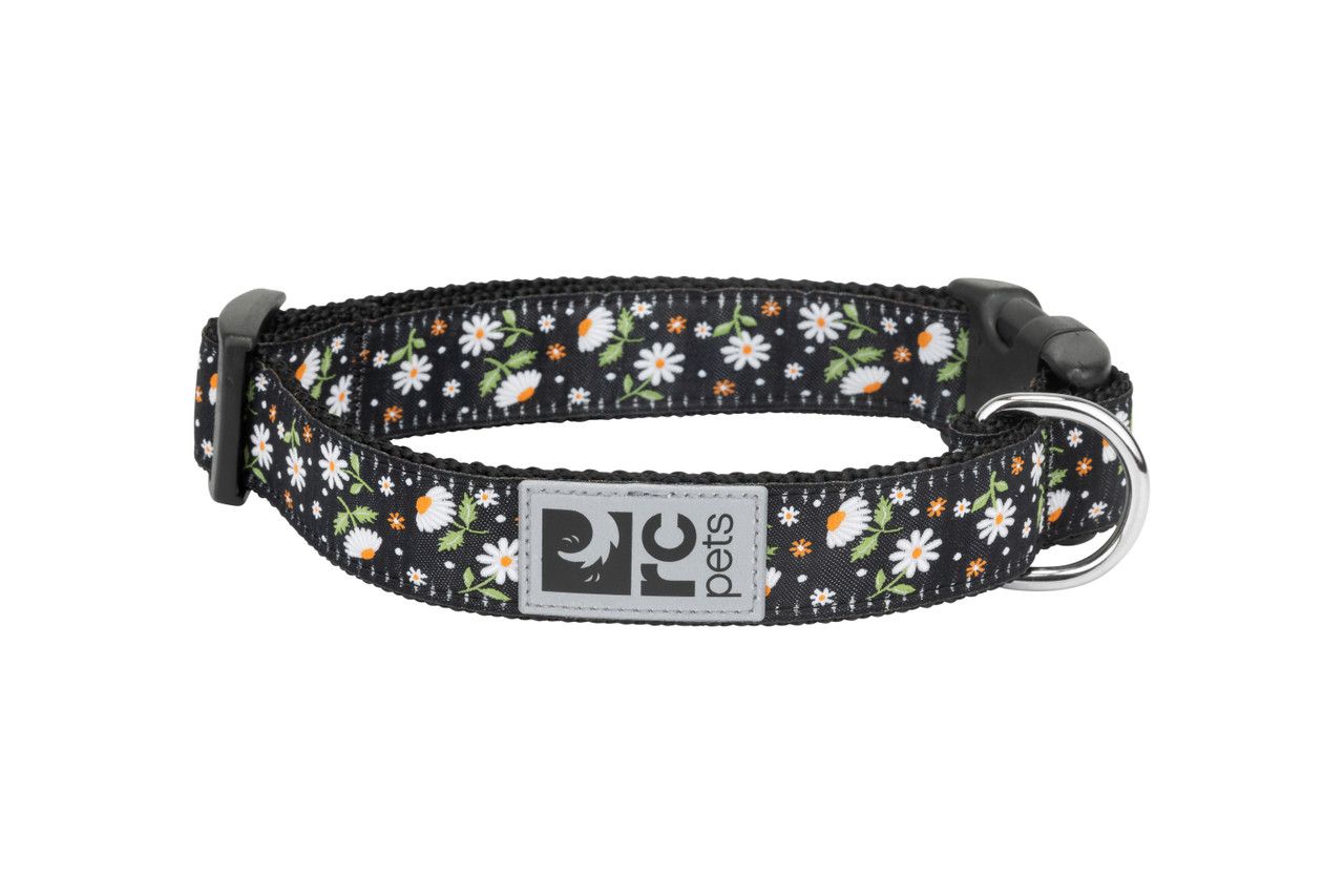 RC PETS - Daisies Clip Collar, Size: Large