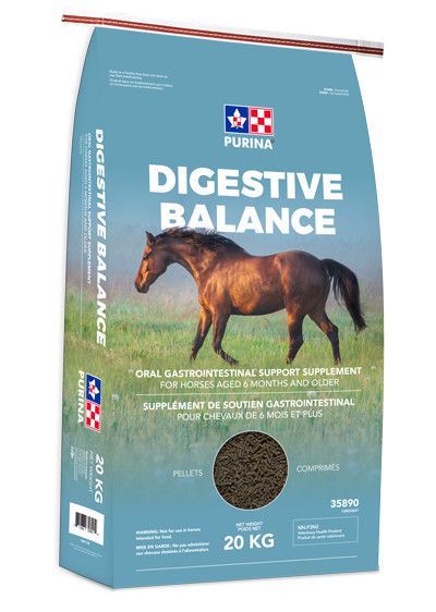 CARGILL PURINA - Digestive Balance, Format: 20kg