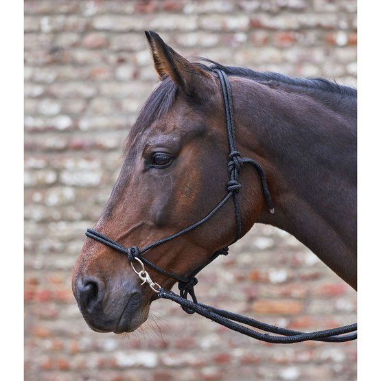 WALDHAUSEN - Knotted Halter with Reins, Color: Noir, Size: Full