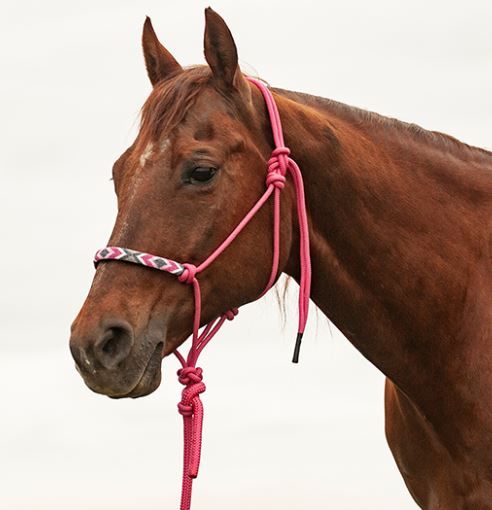 CASHEL - Beaded Nose Halter, Color: Fushia