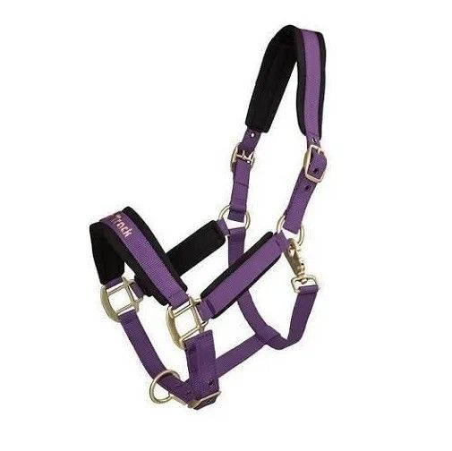 BACK ON TRACK - PP Werano Bright Purple Halter, Size: Full