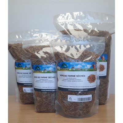 MATÉLEVAGE - Mealworms, Size: 275g