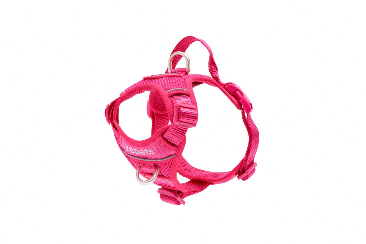 RC PETS - Azalea Momentum Control Harness, Size: Small