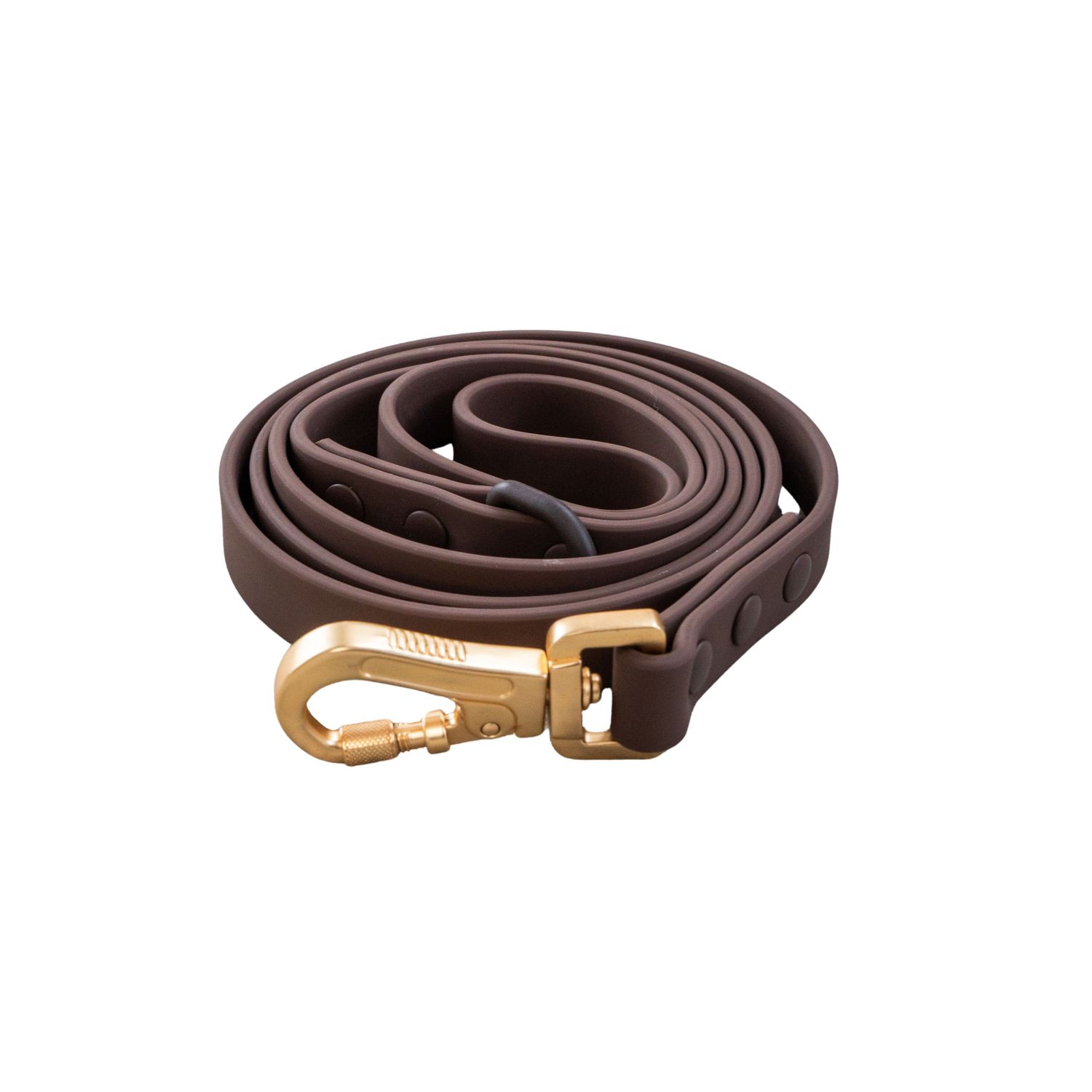 DEXYPAWS - Espresso Waterproof Dog Leash, Size: 5pieds