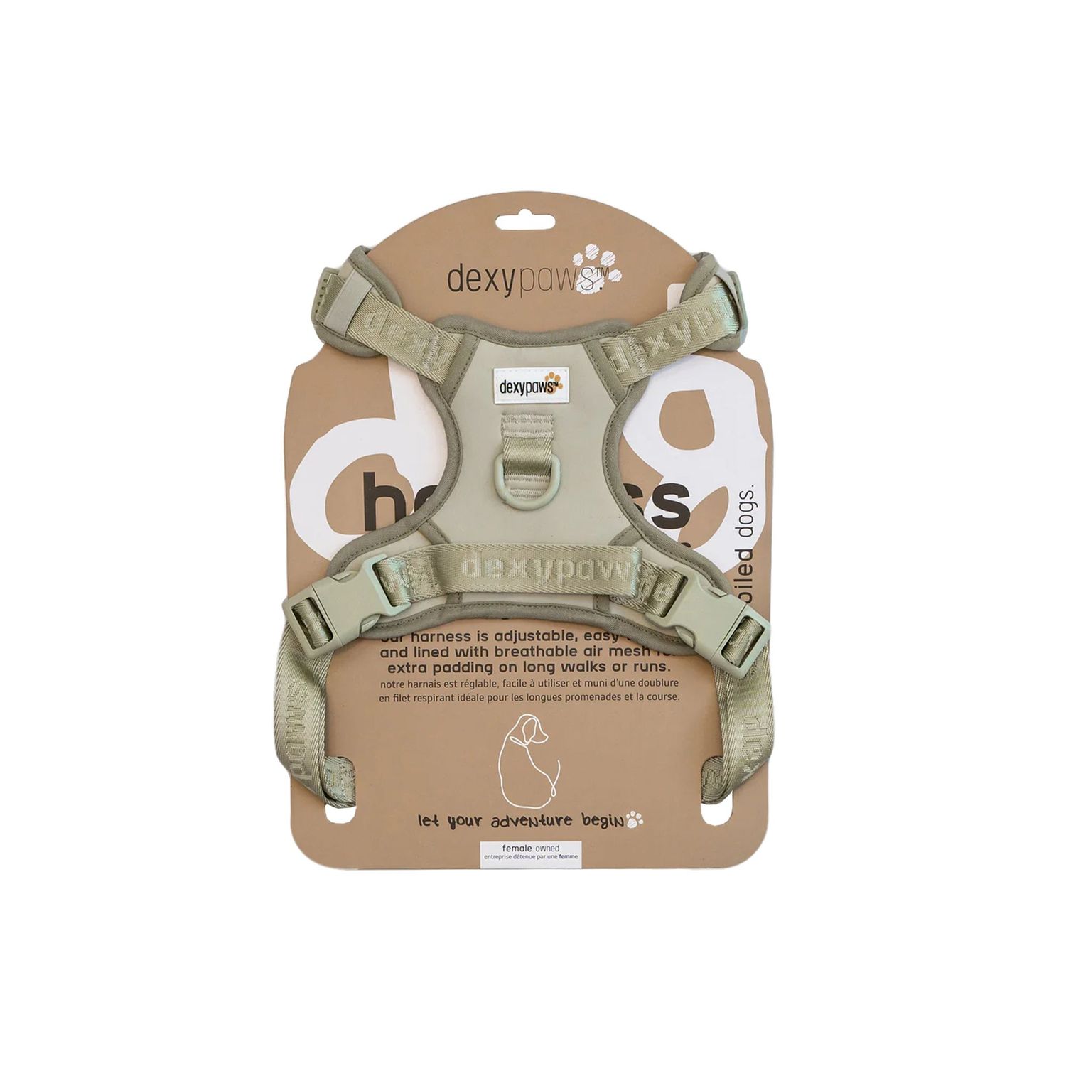 DEXYPAWS - Sage Green No-Pull Dog Harness, Size: XSmall