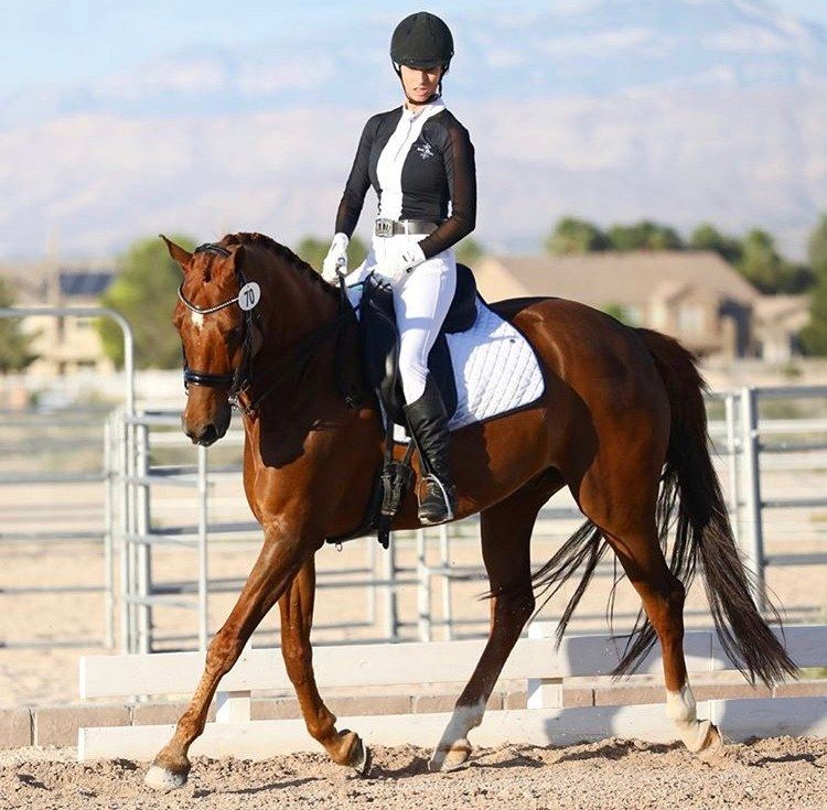 OGILVY EQUESTRIAN - White Dressage FrictionFree Pad, Piping: Aucun, Binding: Blanc