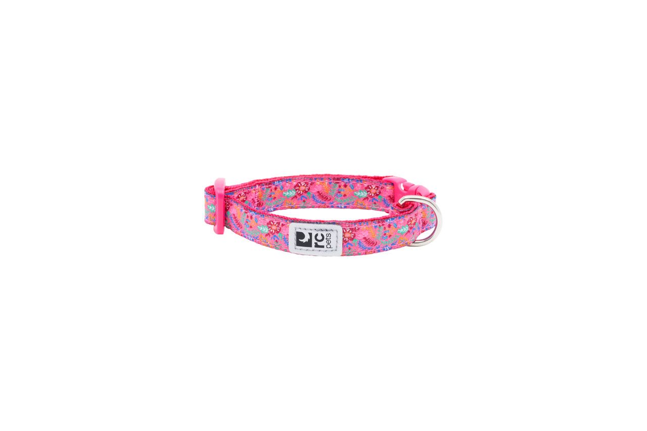 RC PETS - Frida Petite Clip Collar, Size: XXSmall