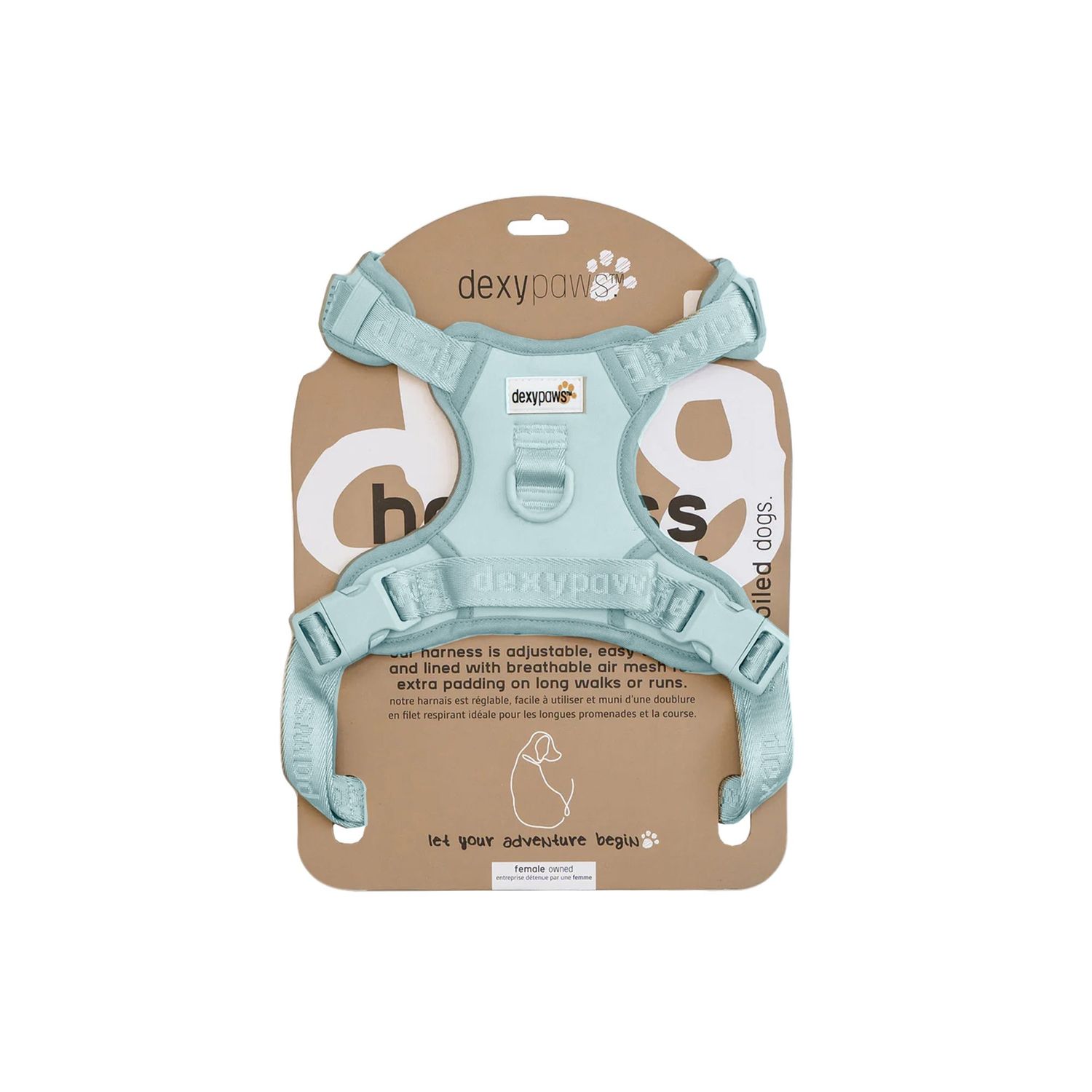 DEXYPAWS - Sky Blue No-Pull Dog Harness, Size: XSmall