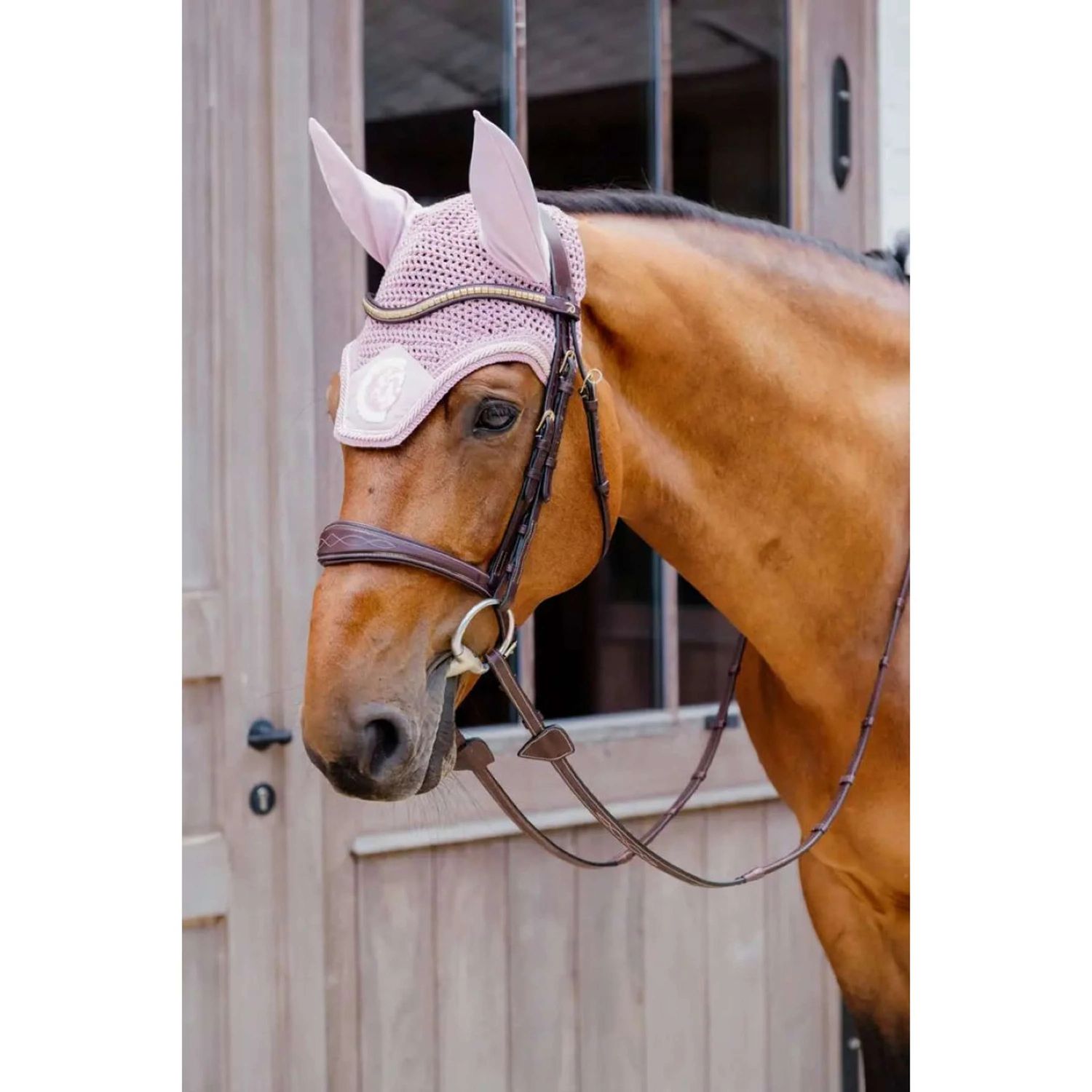 KENTUCKY HORSEWEAR - Wellington 3D Logo Soft Rose Earnet, Size: Full