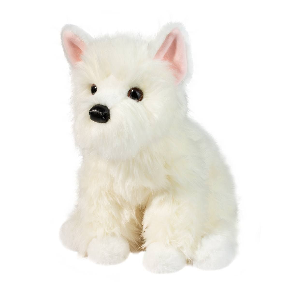 DOUGLAS - Walt the West Highland Terrier, Colour: White
