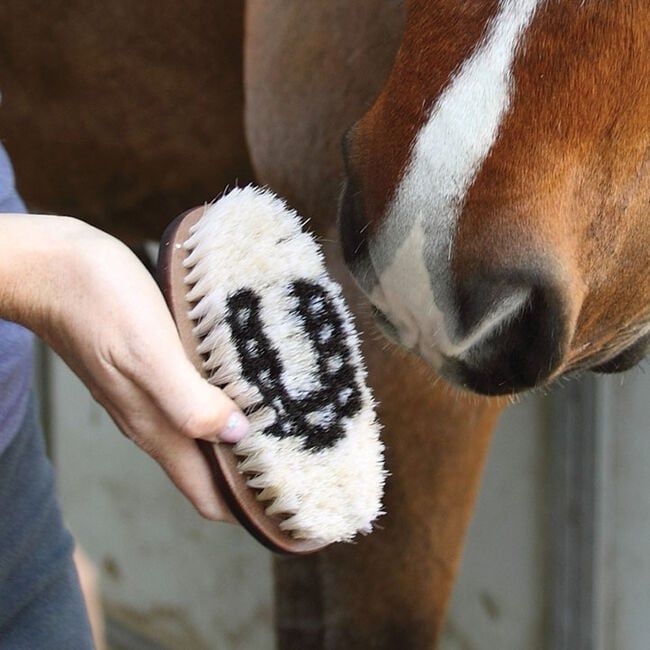 TAIL TAMER - Wood Grip Boar Bristle Brush