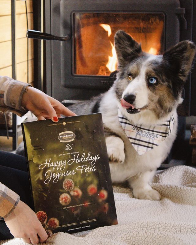 OVEN-BAKED TRADITION - 2025 Advent Calendar