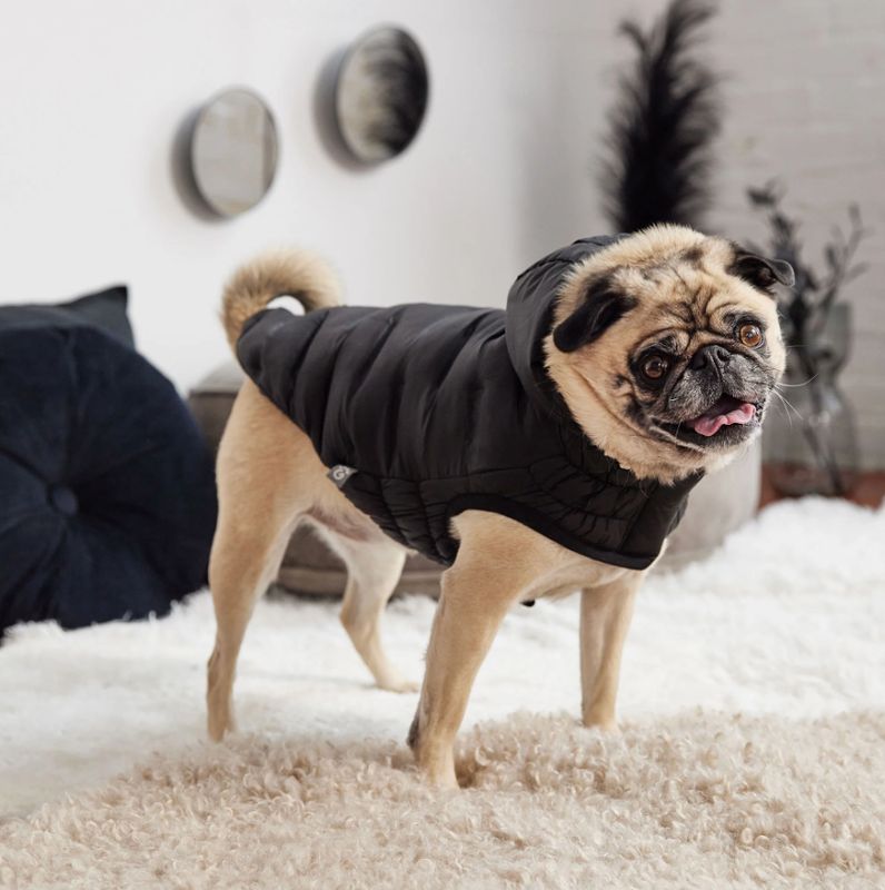 GF PET - Cloud Dog Black Parka
