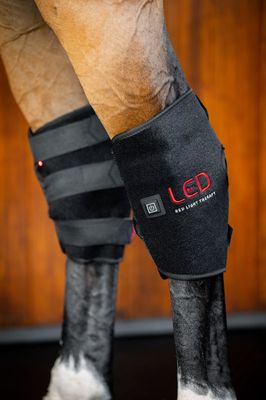 HORSEWARE - Red Light Therapy Hock Boots
