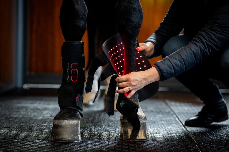 HORSEWARE - LED Red Light Therapy Leg Wrap Right