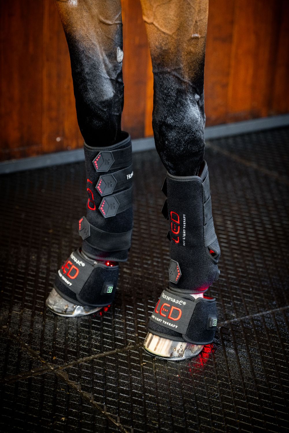 HORSEWARE - LED Red Light Therapy Leg Wrap Left
