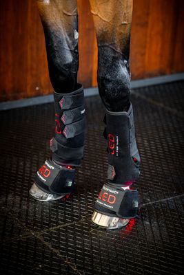 HORSEWARE - LED Red Light Therapy Leg Wrap Left