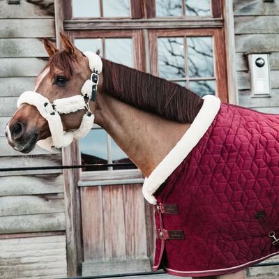 KENTUCKY HORSEWEAR - Show Rug Velvet Bordeaux