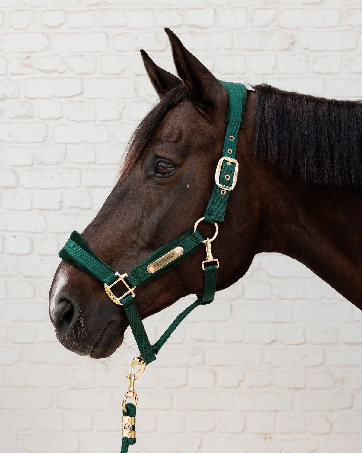 KENTUCKY HORSEWEAR - Velvet Pine Green Halter