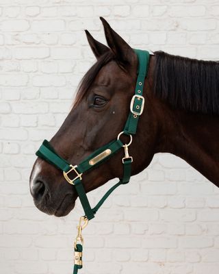 KENTUCKY HORSEWEAR - Velvet Pine Green Halter