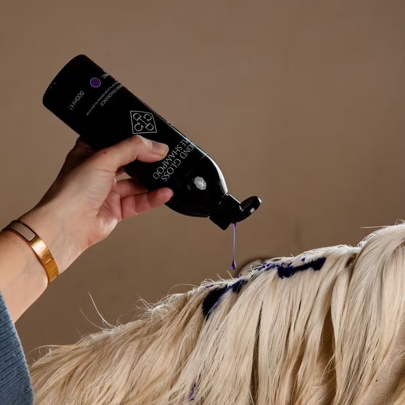 KENTUCKY HORSEWEAR - Almond Gloss Purple Shampoo