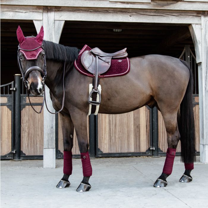KENTUCKY HORSEWEAR - Saddle Pad Basic Bordeaux Velvet Jumping