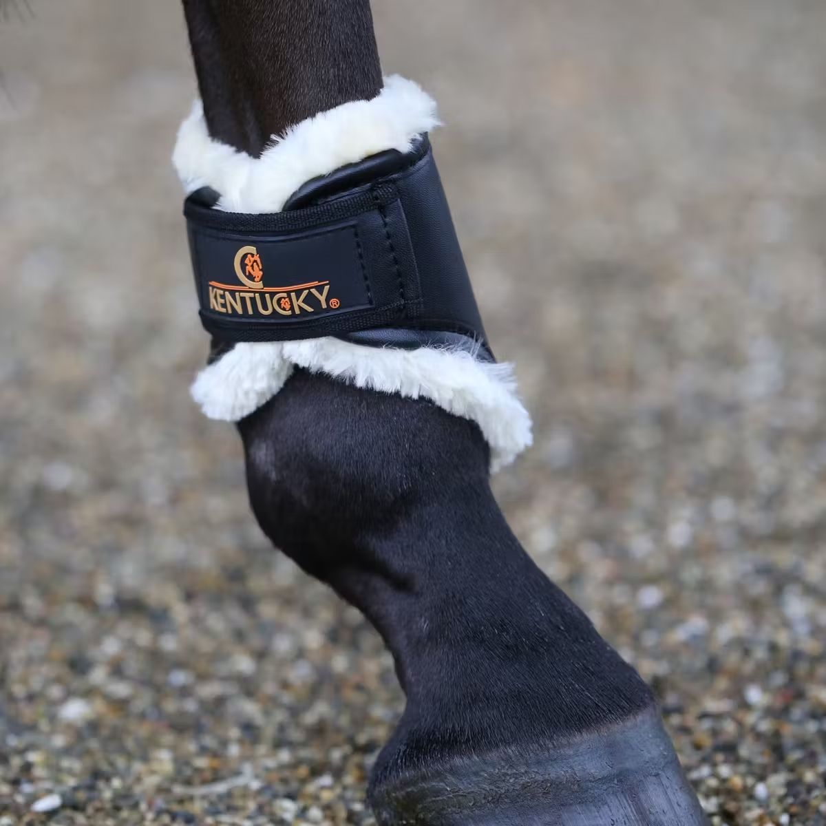 KENTUCKY HORSEWEAR - Brushing Boots in Leather Hind Black