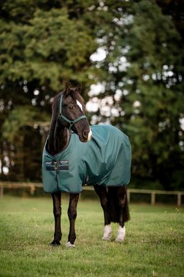 HORSEWARE - Amigo Ripstop 900D Turnout 0g Dynasty Green/Navy/Silver